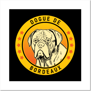 Dogue de Bordeaux Dog Portrait Posters and Art